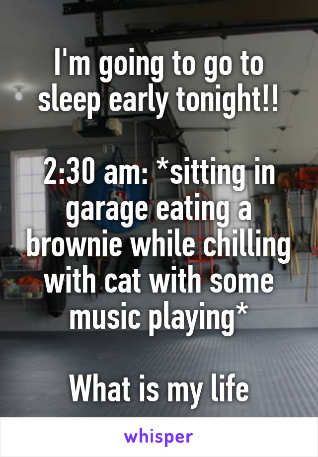 I'm going to go to sleep early tonight!!

2:30 am: *sitting in garage eating a brownie while chilling with cat with some music playing*

What is my life