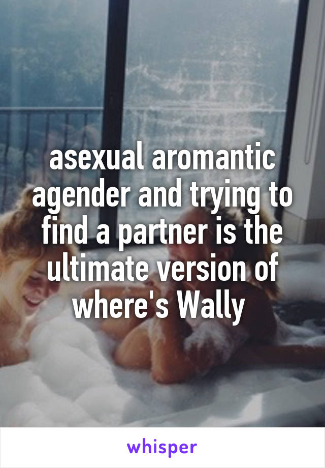 asexual aromantic agender and trying to find a partner is the ultimate version of where's Wally 