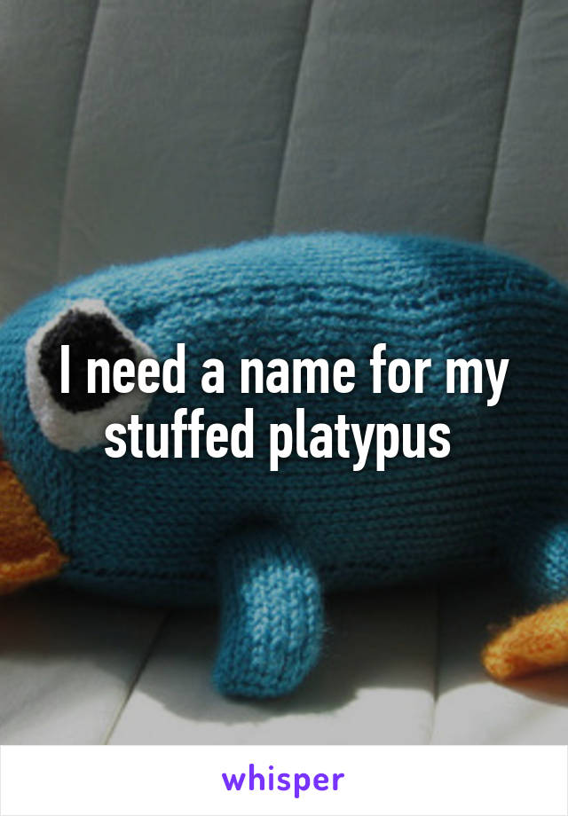 I need a name for my stuffed platypus 