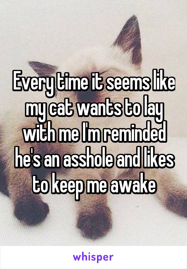 Every time it seems like my cat wants to lay with me I'm reminded he's an asshole and likes to keep me awake