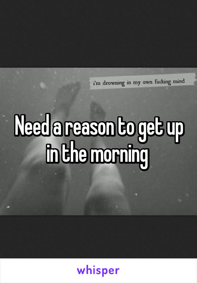 Need a reason to get up in the morning 