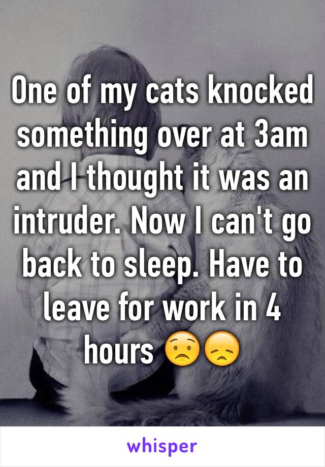 One of my cats knocked something over at 3am and I thought it was an intruder. Now I can't go back to sleep. Have to leave for work in 4 hours 😟😞