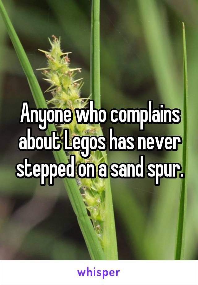 Anyone who complains about Legos has never stepped on a sand spur.
