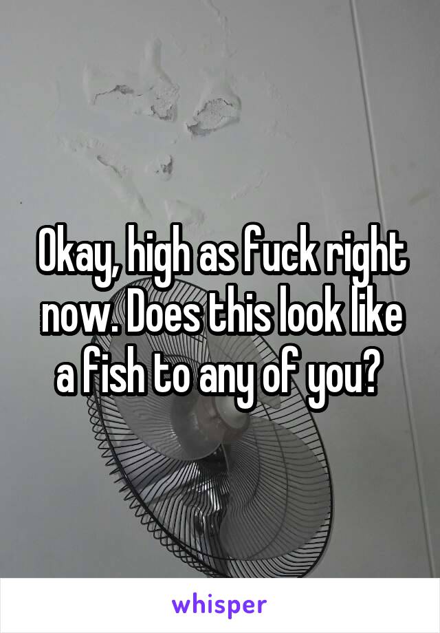 Okay, high as fuck right now. Does this look like a fish to any of you? 