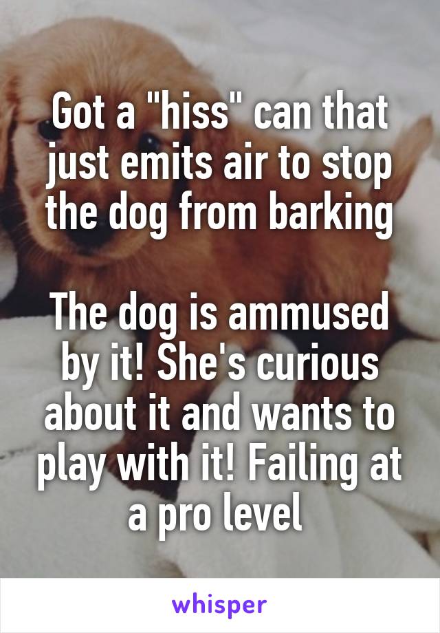 Got a "hiss" can that just emits air to stop the dog from barking

The dog is ammused by it! She's curious about it and wants to play with it! Failing at a pro level 