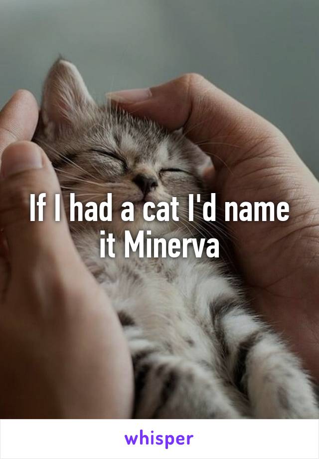 If I had a cat I'd name it Minerva