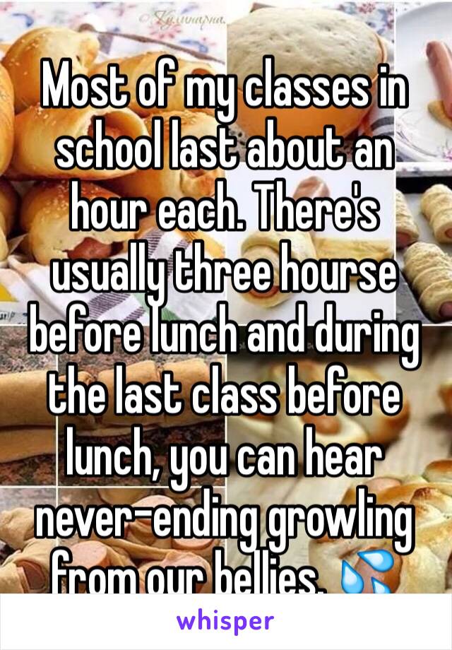 Most of my classes in school last about an hour each. There's usually three hourse before lunch and during the last class before lunch, you can hear never-ending growling from our bellies. 💦