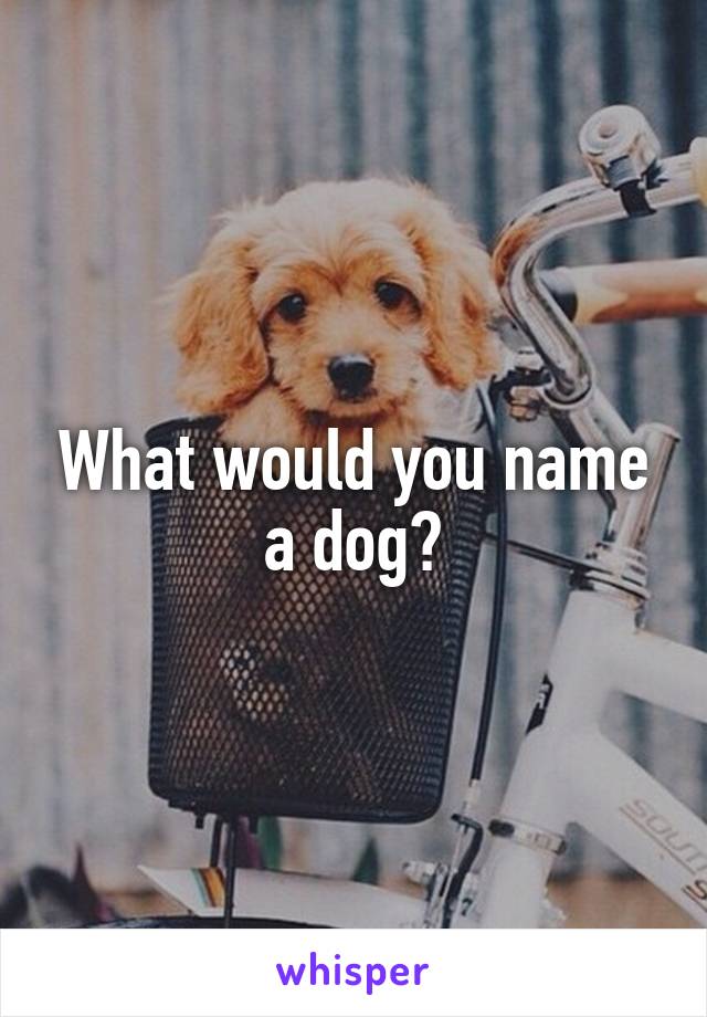 What would you name a dog?