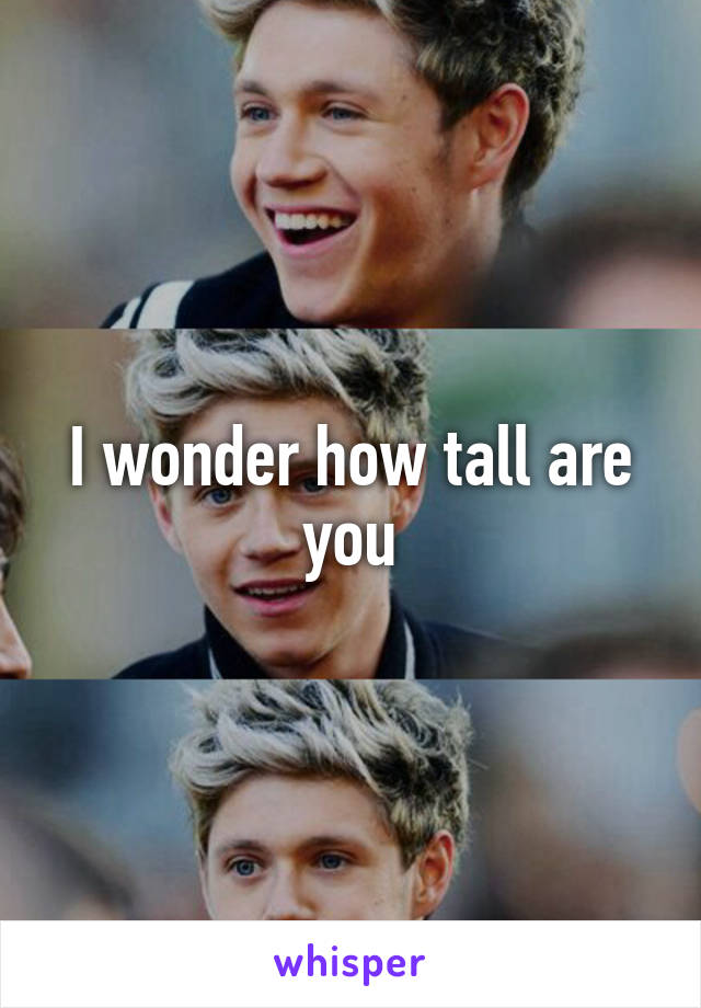 I wonder how tall are you