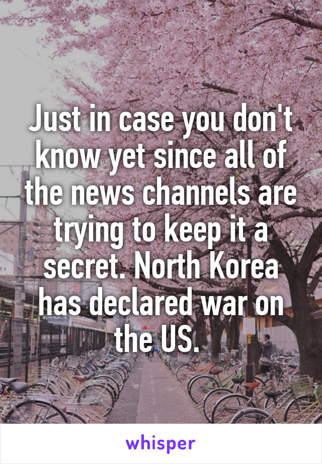 Just in case you don't know yet since all of the news channels are trying to keep it a secret. North Korea has declared war on the US. 