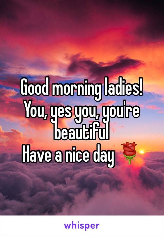 Good morning ladies!
You, yes you, you're beautiful 
Have a nice day 🌹