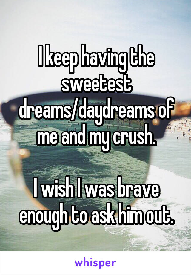 I keep having the sweetest dreams/daydreams of me and my crush.

I wish I was brave enough to ask him out.