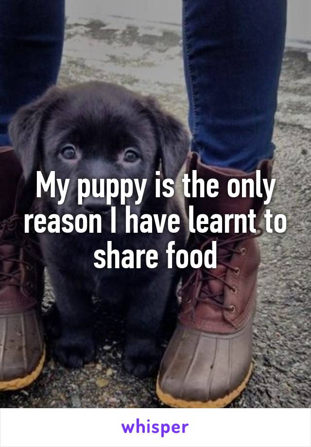 My puppy is the only reason I have learnt to share food