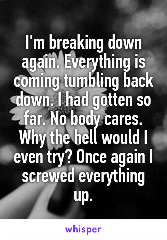 I'm breaking down again. Everything is coming tumbling back down. I had gotten so far. No body cares. Why the hell would I even try? Once again I screwed everything up.