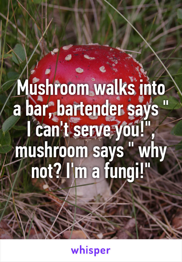 Mushroom walks into a bar, bartender says " I can't serve you!", mushroom says " why not? I'm a fungi!"