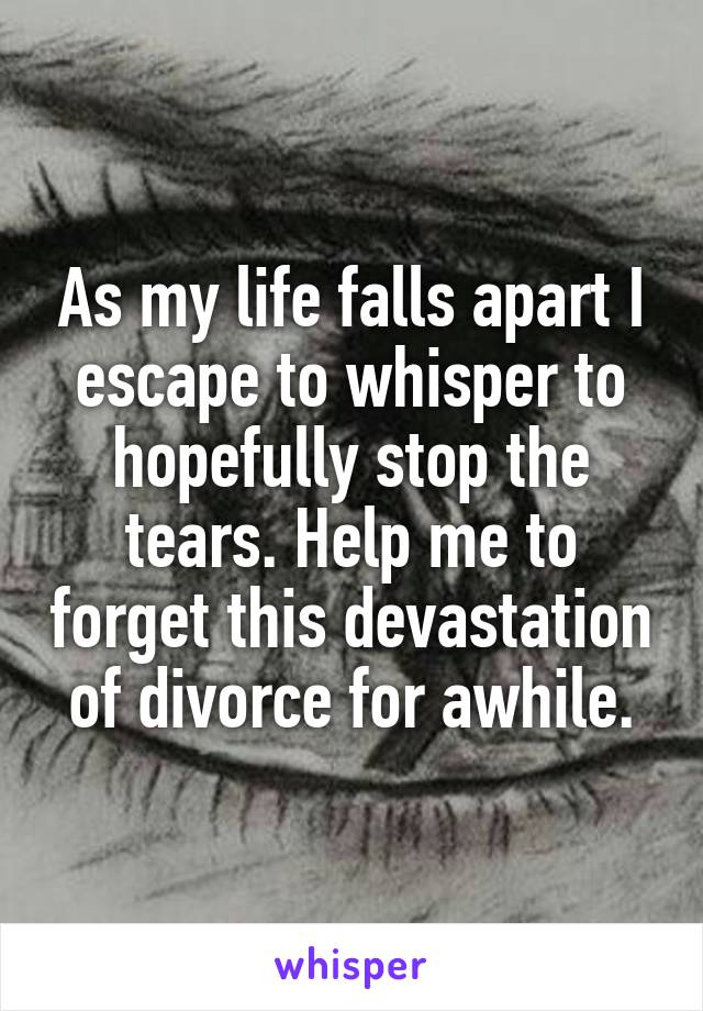 As my life falls apart I escape to whisper to hopefully stop the tears. Help me to forget this devastation of divorce for awhile.