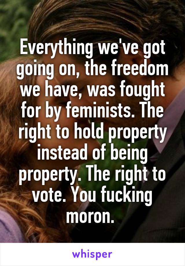 Everything we've got going on, the freedom we have, was fought for by feminists. The right to hold property instead of being property. The right to vote. You fucking moron. 