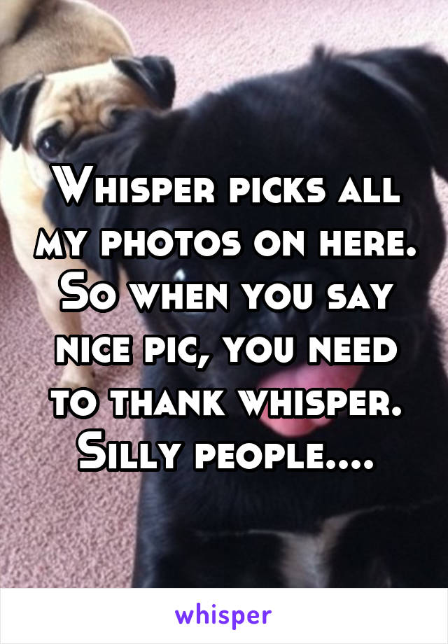 Whisper picks all my photos on here. So when you say nice pic, you need to thank whisper. Silly people....