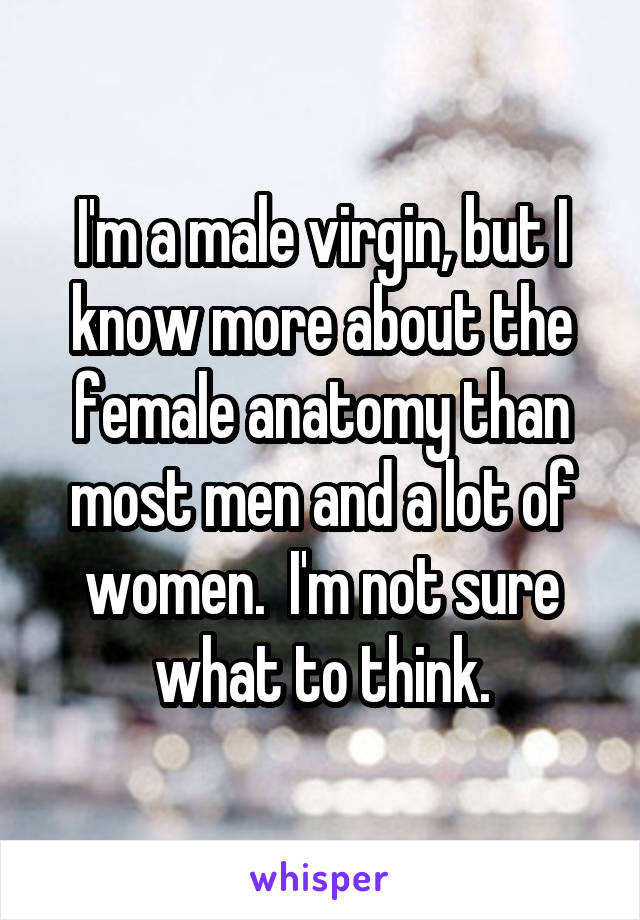 I'm a male virgin, but I know more about the female anatomy than most men and a lot of women.  I'm not sure what to think.