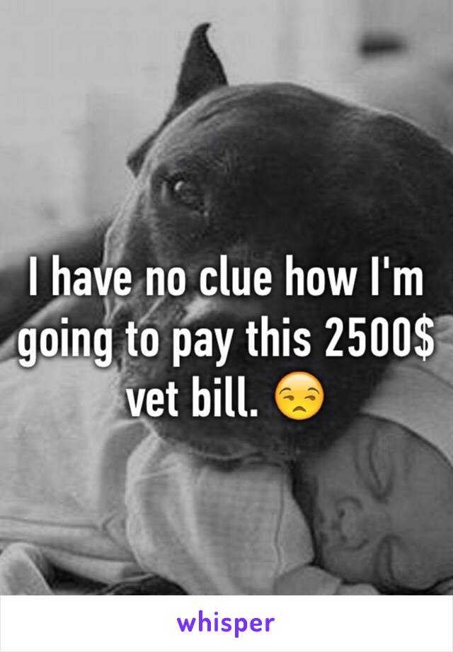 I have no clue how I'm going to pay this 2500$ vet bill. 😒