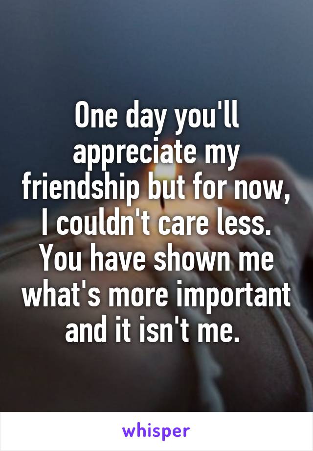 One day you'll appreciate my friendship but for now, I couldn't care less. You have shown me what's more important and it isn't me. 