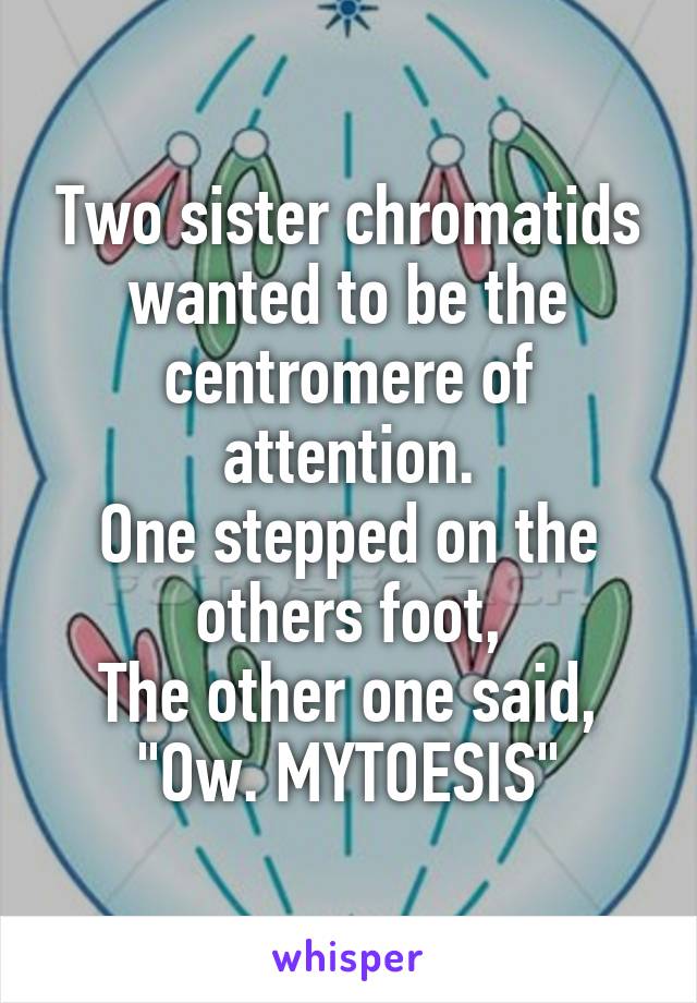 Two sister chromatids wanted to be the centromere of attention.
One stepped on the others foot,
The other one said,
"Ow. MYTOESIS"