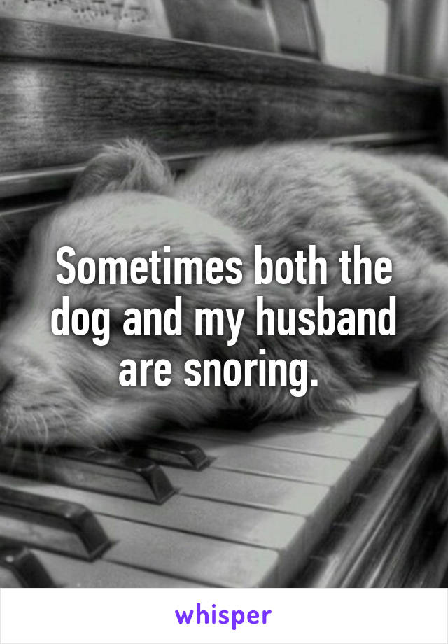 Sometimes both the dog and my husband are snoring. 