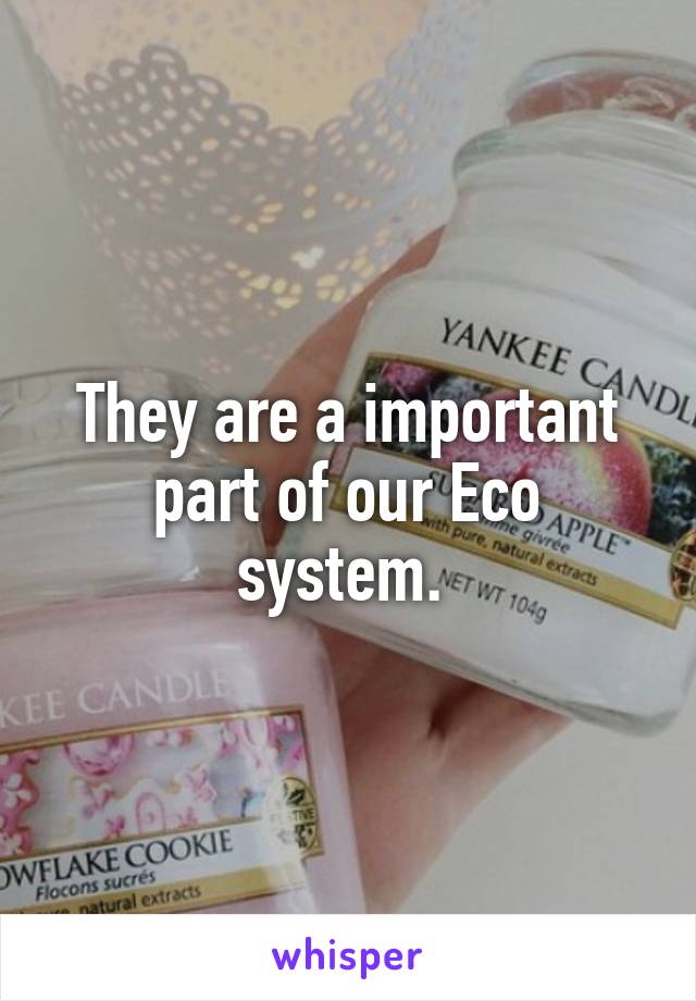 They are a important part of our Eco system. 