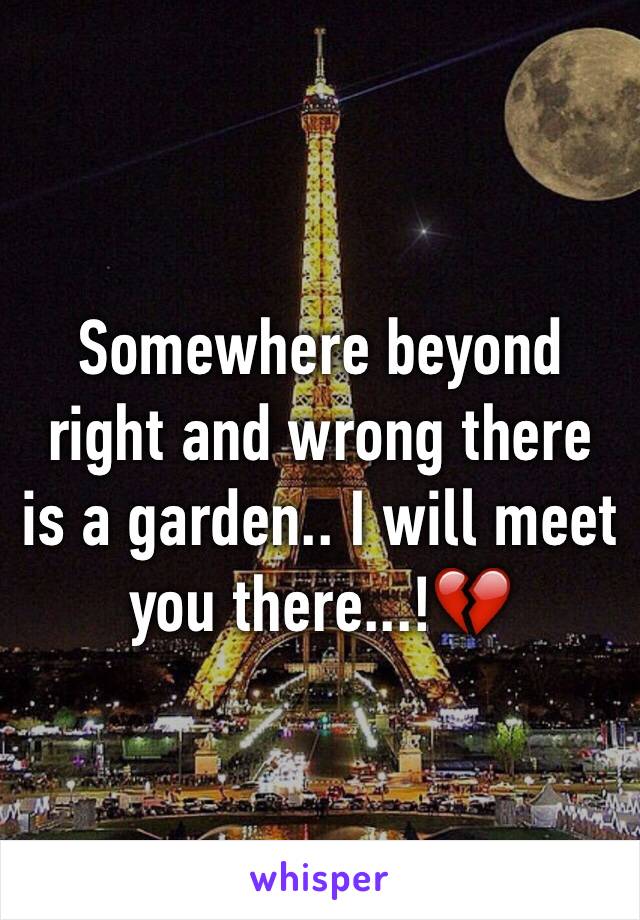 Somewhere beyond right and wrong there is a garden.. I will meet you there...!💔