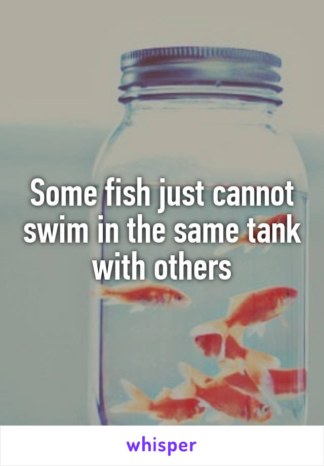 Some fish just cannot swim in the same tank with others