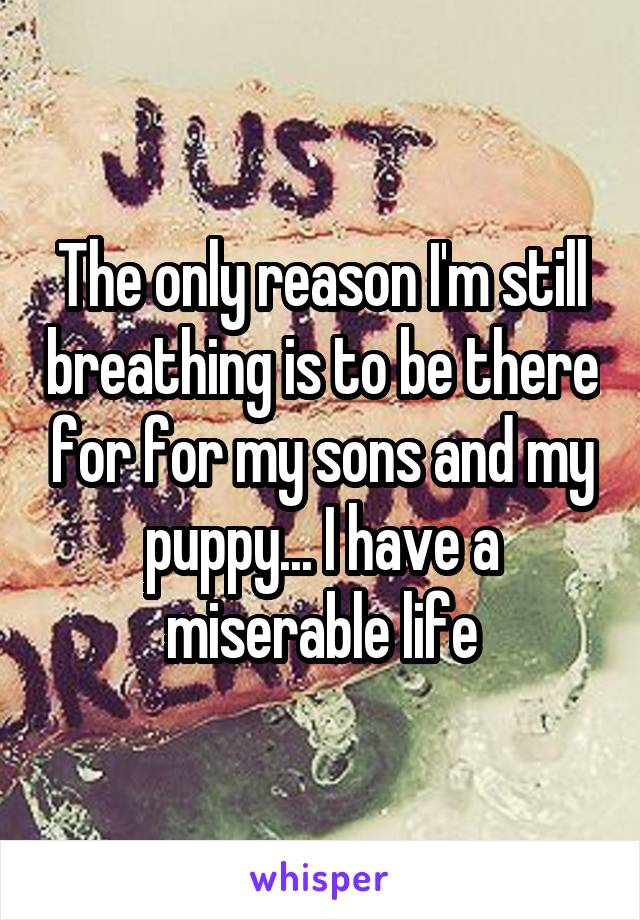 The only reason I'm still breathing is to be there for for my sons and my puppy... I have a miserable life