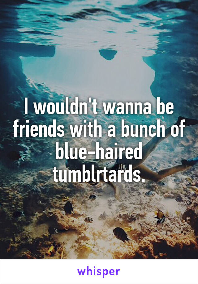 I wouldn't wanna be friends with a bunch of blue-haired tumblrtards.