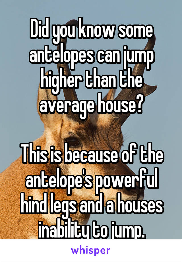 Did you know some antelopes can jump higher than the average house?

This is because of the antelope's powerful hind legs and a houses inability to jump.