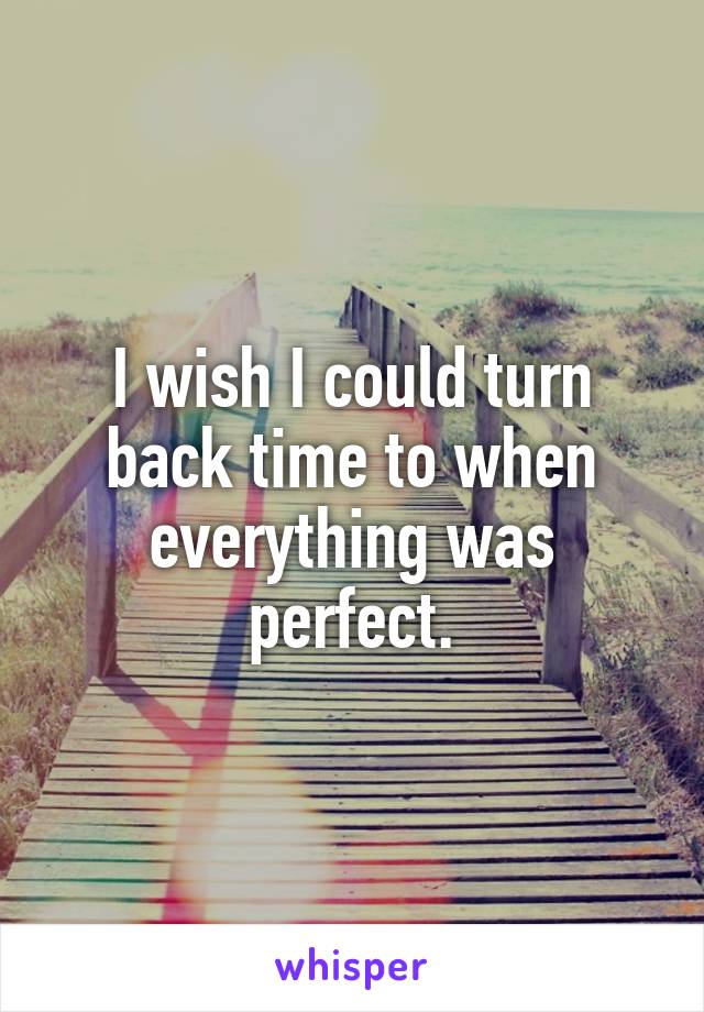 I wish I could turn back time to when everything was perfect.