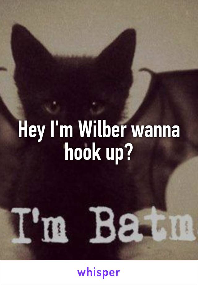 Hey I'm Wilber wanna hook up?