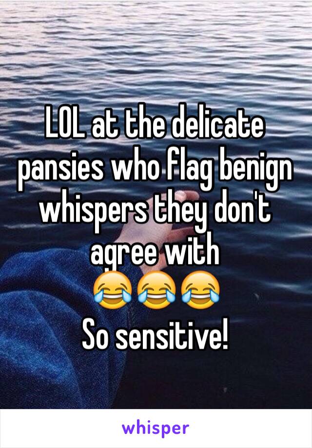 LOL at the delicate pansies who flag benign whispers they don't agree with
😂😂😂
So sensitive!