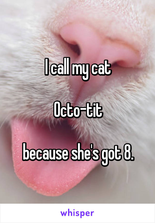 I call my cat

Octo-tit

because she's got 8.