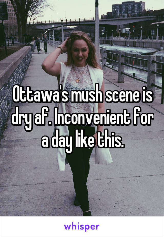 Ottawa's mush scene is dry af. Inconvenient for a day like this.