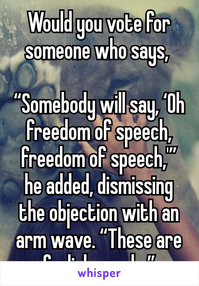 Would you vote for someone who says, 

“Somebody will say, ‘Oh freedom of speech, freedom of speech,'” he added, dismissing the objection with an arm wave. “These are foolish people.”