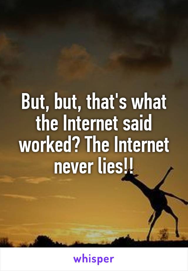 But, but, that's what the Internet said worked? The Internet never lies!!