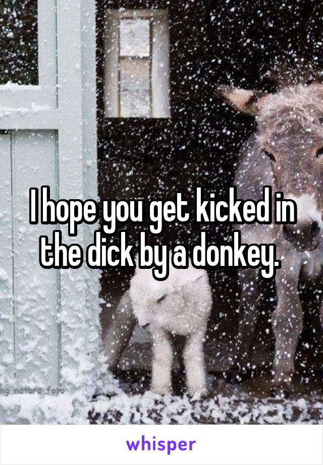 I hope you get kicked in the dick by a donkey. 