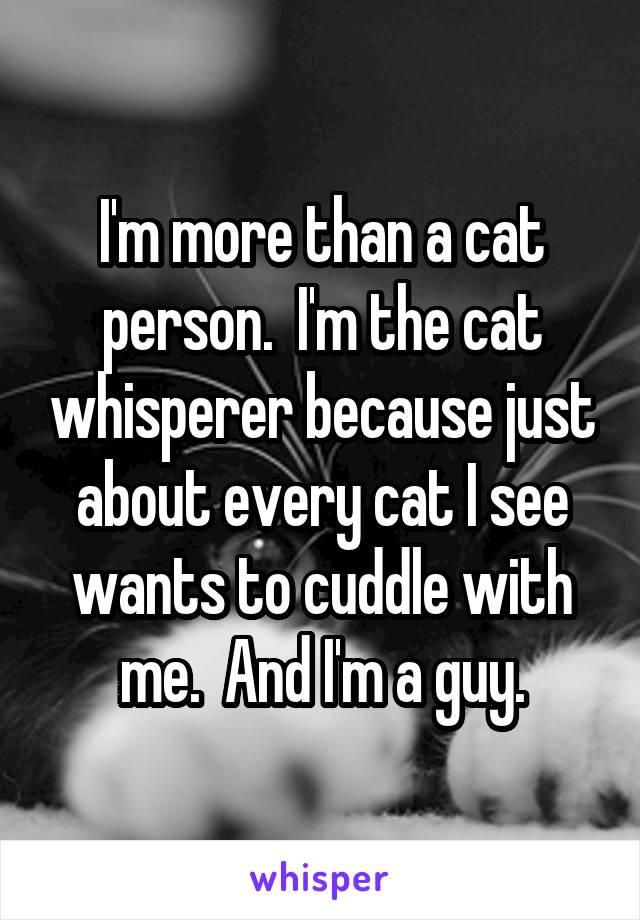 I'm more than a cat person.  I'm the cat whisperer because just about every cat I see wants to cuddle with me.  And I'm a guy.