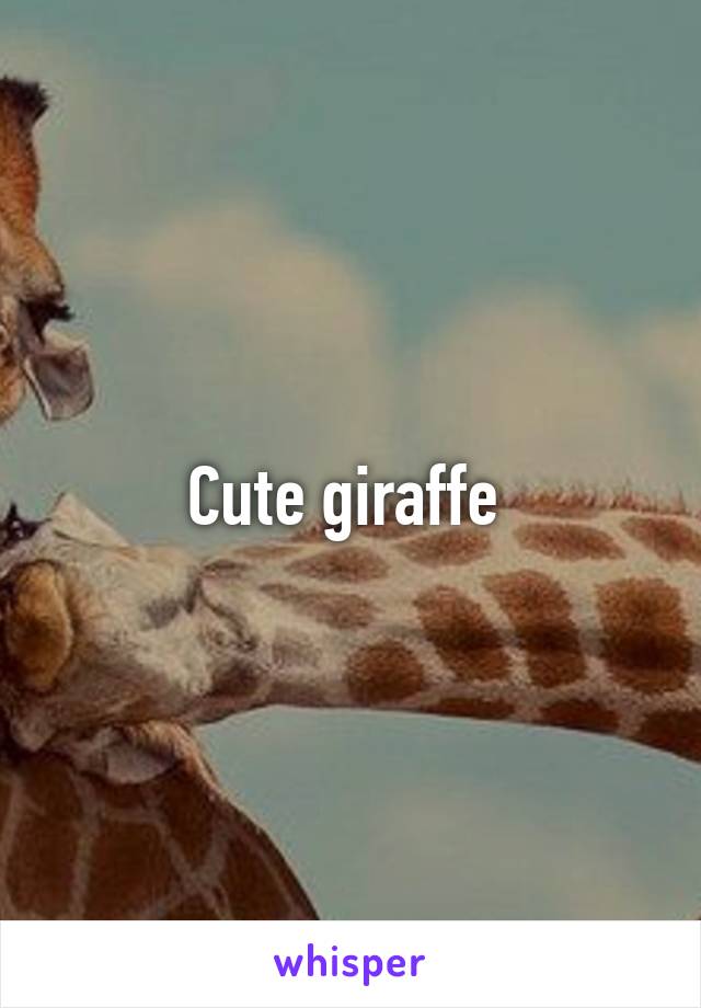 Cute giraffe 