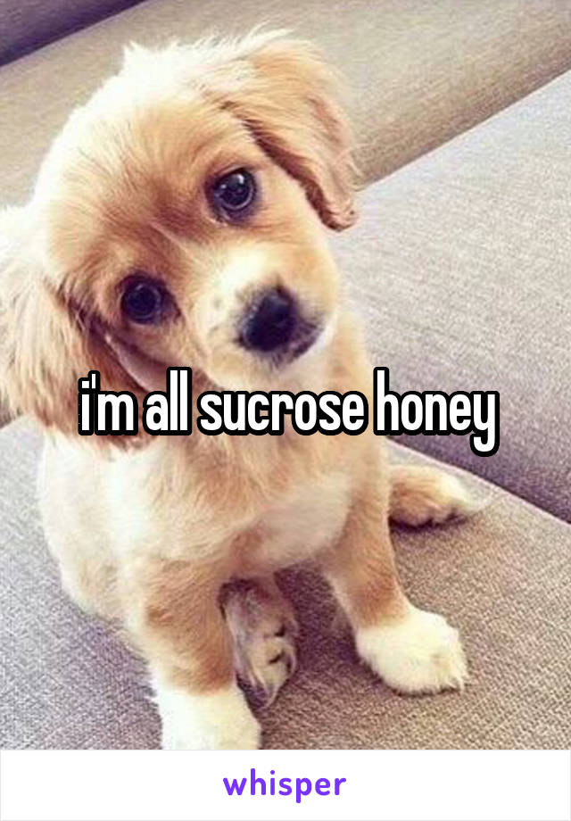 i'm all sucrose honey