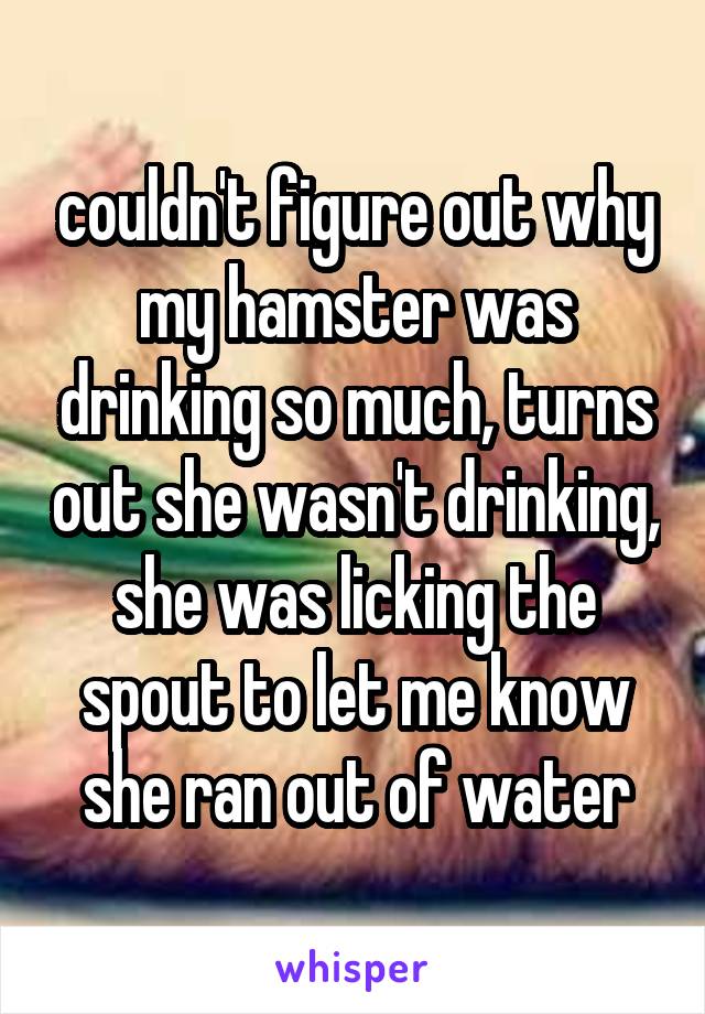 couldn't figure out why my hamster was drinking so much, turns out she wasn't drinking, she was licking the spout to let me know she ran out of water