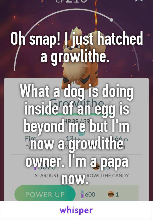 Oh snap! I just hatched a growlithe. 

What a dog is doing inside of an egg is beyond me but I'm now a growlithe owner. I'm a papa now. 