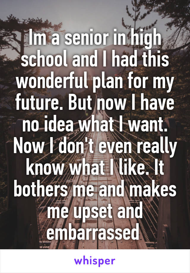 Im a senior in high school and I had this wonderful plan for my future. But now I have no idea what I want. Now I don't even really know what I like. It bothers me and makes me upset and embarrassed 