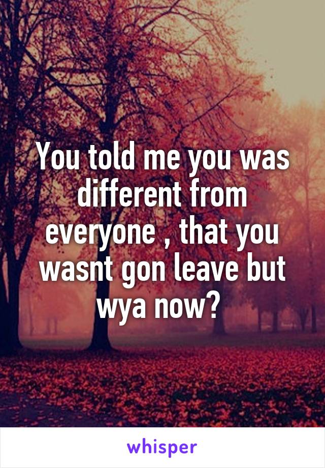 You told me you was different from everyone , that you wasnt gon leave but wya now? 