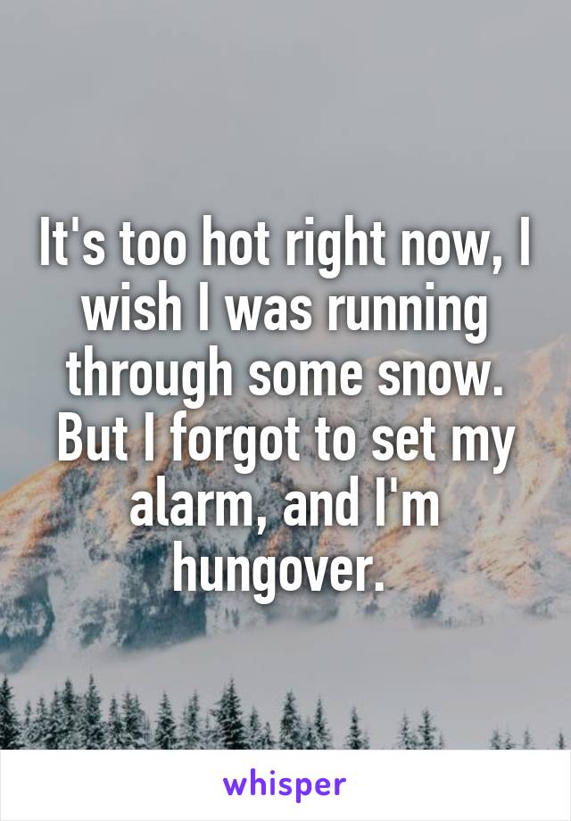 It's too hot right now, I wish I was running through some snow. But I forgot to set my alarm, and I'm hungover. 