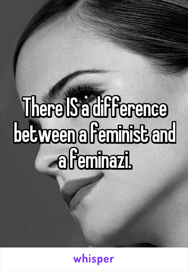 There IS a difference between a feminist and a feminazi.